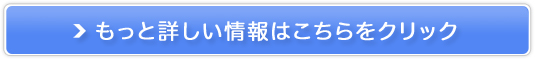Vitule/BgDr܁ytFCVGXevR[Xz̔TCg